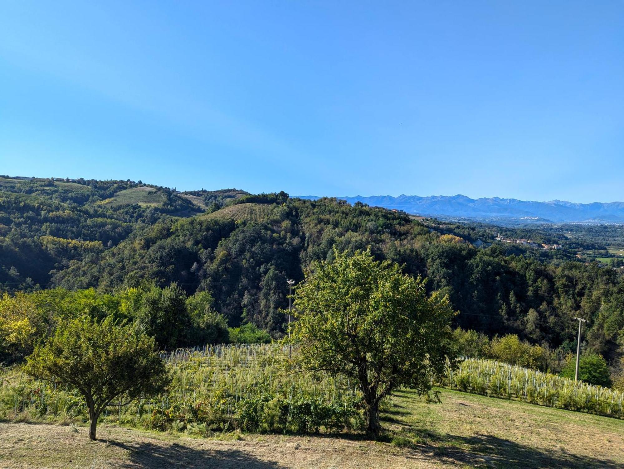 Casa Felice Villa Farigliano Dış mekan fotoğraf